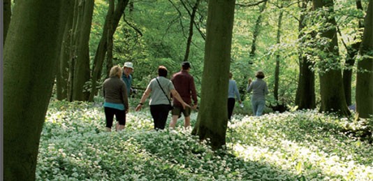 Get inspired to start walking Get inspired to start walking