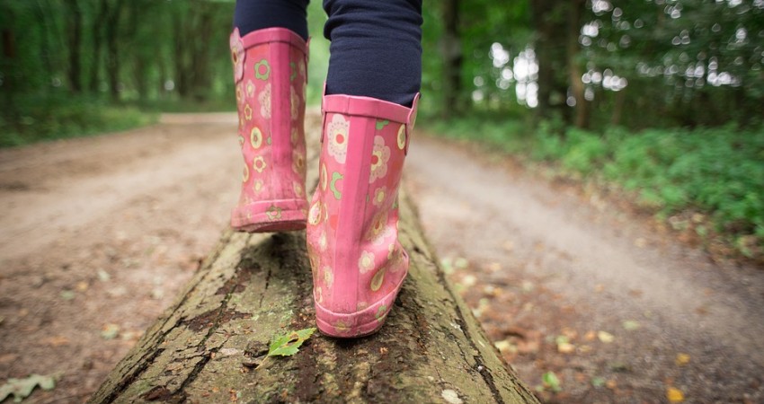 Autumn Walk