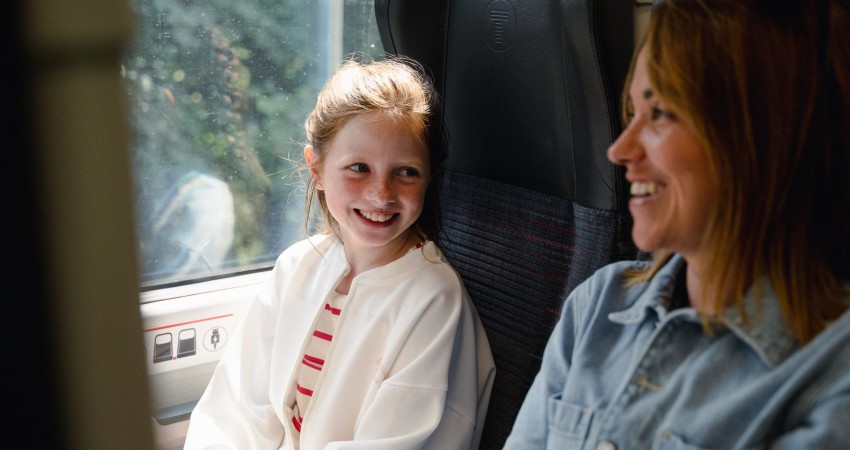 Public transport passengers