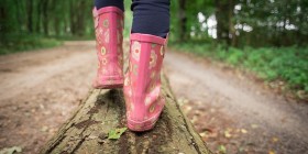 Autumn Walk